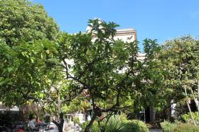 Hôtel Les Palmiers - photo 24