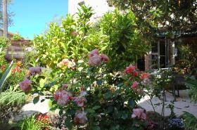 Hôtel Les Palmiers - photo 23