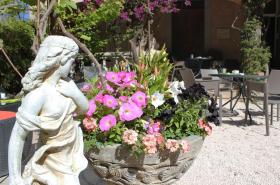 Hôtel Les Palmiers - photo 26