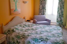 Hôtel Les Palmiers - photo 5