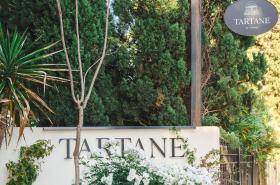 Hôtel La Tartane - photo 18