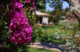 La Bastide des Salins - photo 10