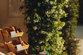 La Bastide des Salins - photo 25