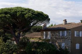 La Ferme d'Augustin - photo 8