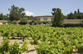 Saint-Vincent - photo 8
