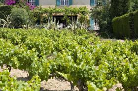 Saint-Vincent - photo 15