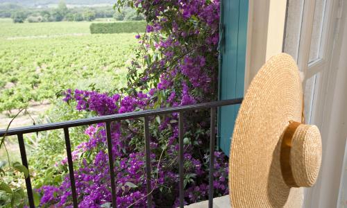 Saint-Vincent - photo 3