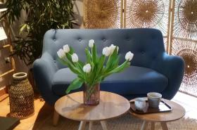 Les Lauriers - photo 6