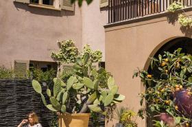 Muse Saint Tropez - photo 8
